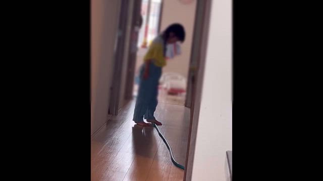 【嫁ログ】夏らしいことを！の記事動画