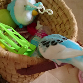 goodafternoon☆の画像