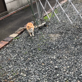 癒される〜の画像