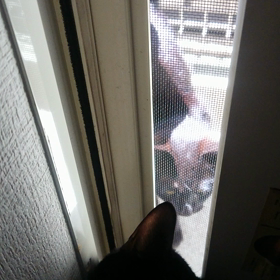 君に逢いにきたの画像