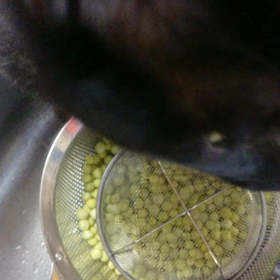 なおさんの、お料理教室の画像