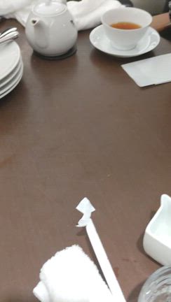 大阪旅行②の記事動画