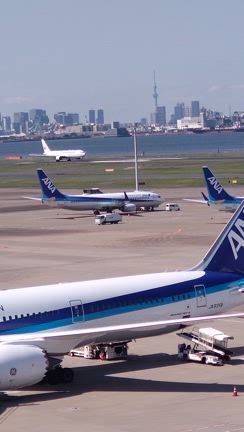 羽田空港飛行機の記事動画