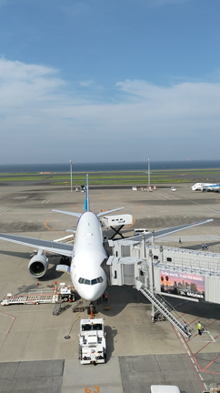 羽田空港の記事動画