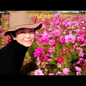 1年前のコスモス・紅葉の画像