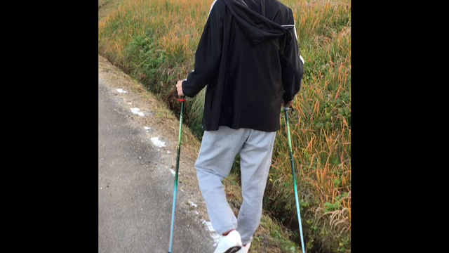 継続は力なりの記事動画