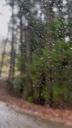 神さまが呼んでるっ‼️13  豪雨、豪雨、豪雨の記事動画