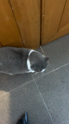 おめでと^^*の記事動画