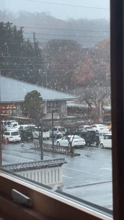 初雪の日に…の記事動画