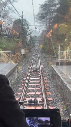 娘2人と、雨と風と霧の中の箱根旅！の記事動画