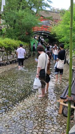 夏を楽しもう～、乗り越えられるかの記事動画