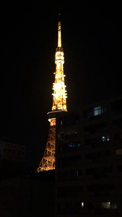 東京タワーの電気が消える瞬間の記事動画