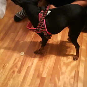 インディケーションの画像