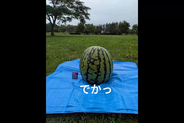 2026/07/19　バーベキュー！③の記事動画