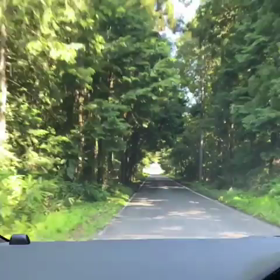 動画でお裾分けの画像