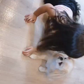 まるちゃん言いなり(￣▽￣;)の画像