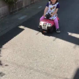 散歩から帰ってきましたの画像
