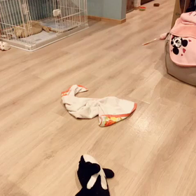 うんちダッシュ！？の画像