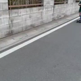 散歩の画像