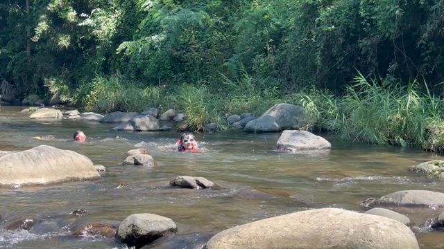 今年初の川遊びの記事動画