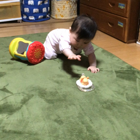 8か月ハイハイできるようになりました。の画像