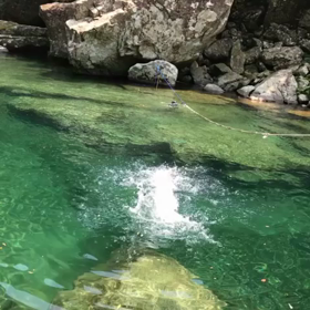 紀北町 魚飛への画像
