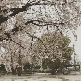 ○○が、表現力を豊かにするの画像