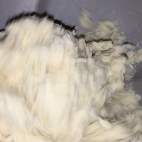 ぐるぐるの画像