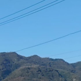 りょ～せんの画像