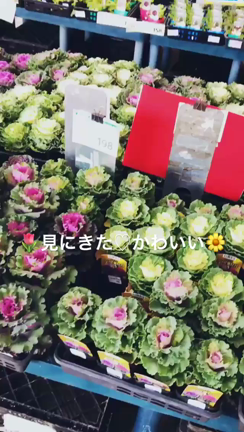 やっと〜！！の記事動画