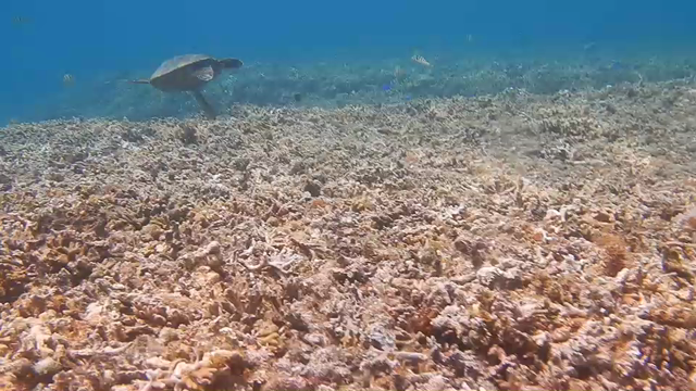 てめぇはてめぇで好きに生きろよの記事動画