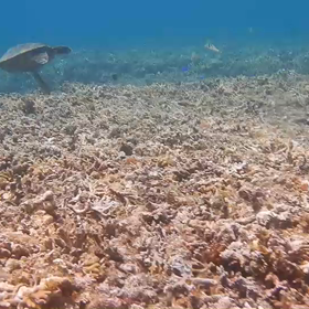 てめぇはてめぇで好きに生きろよの画像