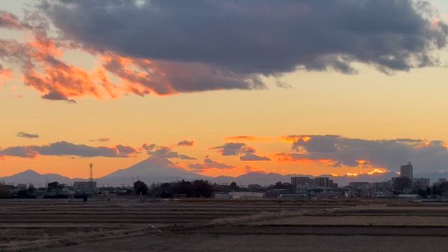 今年もありがとうございました！！の記事動画