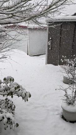県北より雪が積もってるニャー！！の記事動画