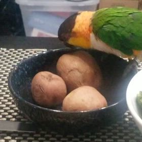 おイモ好き。の画像
