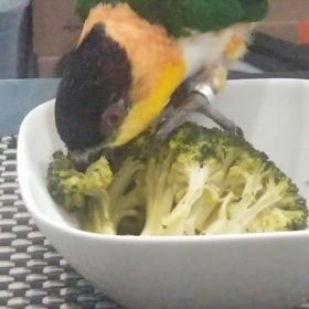 野菜も食べるよ！の画像