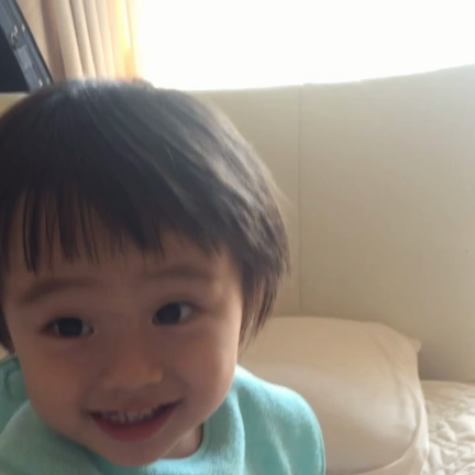 ジェスチャーの記事動画