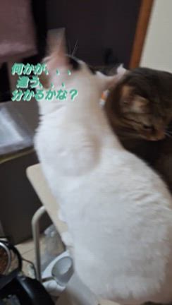 先日はご協力ありがとうございました。の記事動画
