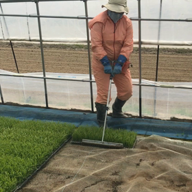 田植えスタート‼︎腰と手に優しい兵器の画像