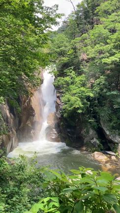 信州旅行✧︎*。の記事動画