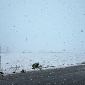 タイヤ交換したばっかなのにの画像