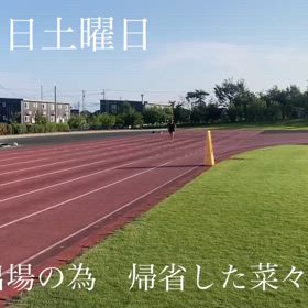信頼関係　　の画像