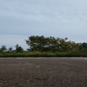 XTZ１２５でちょこっとウィリー練習の画像
