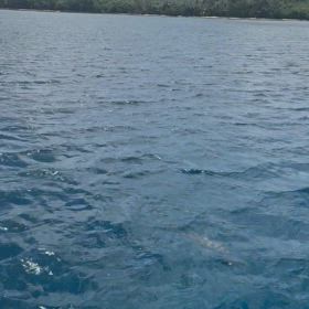 GUAM研修【アクティビティ編】の画像