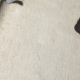 まめの特技の画像
