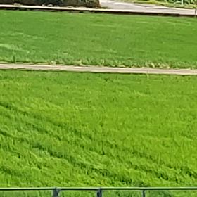 夏の季語になってますよねの画像