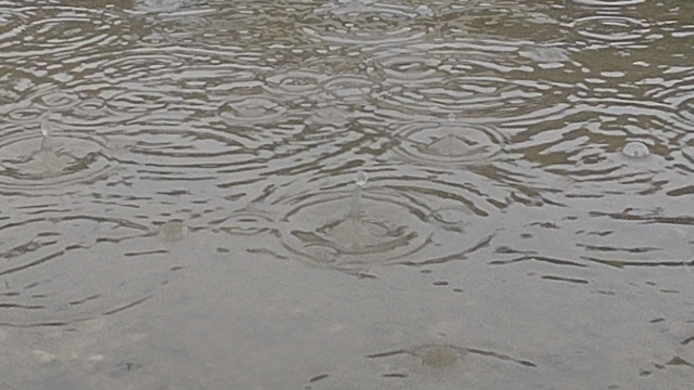 雨ですねの記事動画