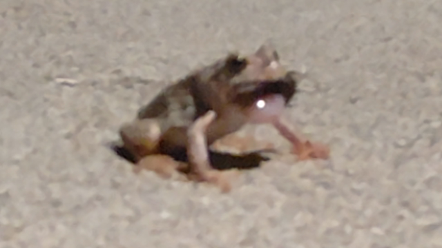 自然の摂理の記事動画