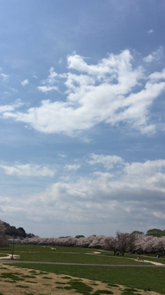 お写んぽして来ました❣️の記事動画