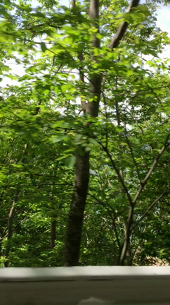 青空・湖・大地・新緑・食べ物・我が故郷を愛すの記事動画